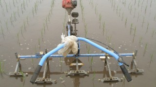 早速の除草作業