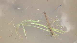 水面下の戦いのあと