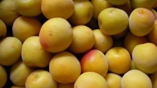 あま縲怩｢かおり