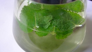 アップルミント