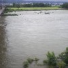 大河・信濃川
