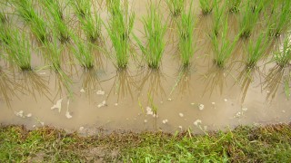 気持ちいいオーラ・その２