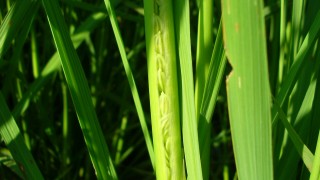 いよいよ最大の山場へ