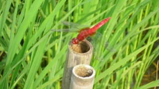 お気に入りの場所