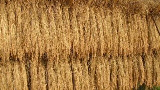 お知らせ　在庫が少なくなりました