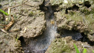 隙（間）あらば