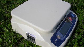 ２年に一度の緊張の一瞬