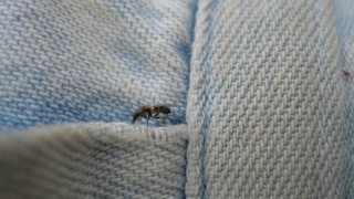 アウトドアの大敵