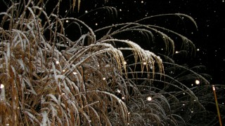 お待たせしました