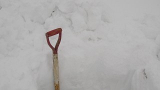 あけまして、おめでとうございます