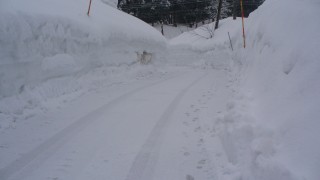 雪祭り間近