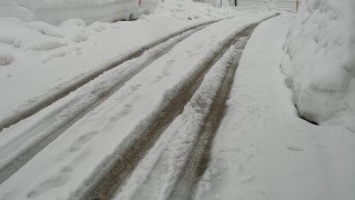 春への足取り?　冬へ逆戻り