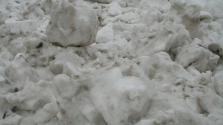 春への足取り?　芸術作品？