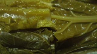 春への足取り?　つけな