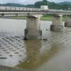今日の信濃川