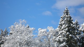 天気はころころ