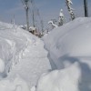 雪国の歩道