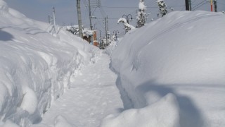 雪国の歩道