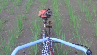 改造「アメンボ号」