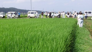 十日町地域有機農業研修会