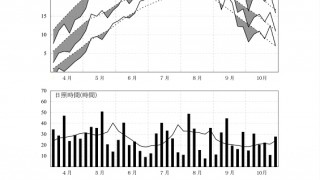 今年の稲作を振り返る（夏編）