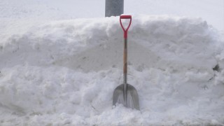 定点観測（12/19）