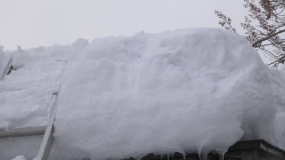 雪下ろし始まる