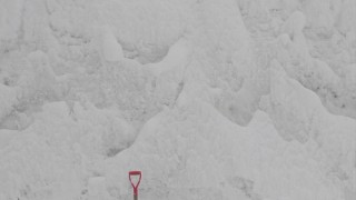 定点観測（1/14）