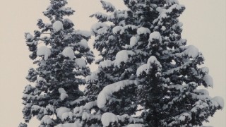 明日のお昼までが山場