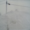 今年の雪