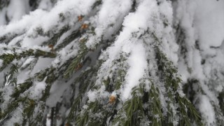 ふわふわ雪