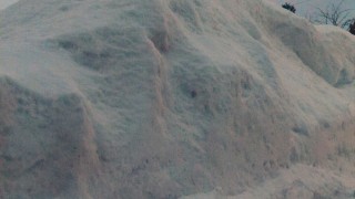 定点観測（２／２３）