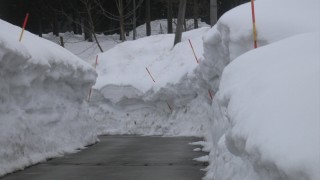 雪のちから