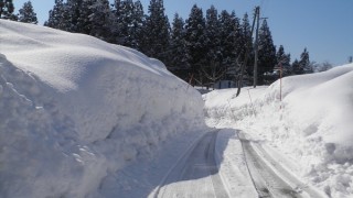 最後の光景か？