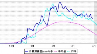 今季の雪