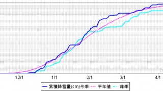 大雪とはいうけれど‥‥