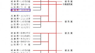 激戦で、勝ち上がれず