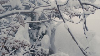 雪下ろし１回目