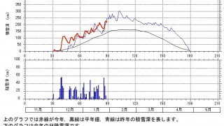 今年も大雪