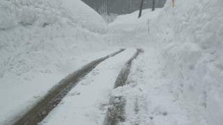 ずくずく雪