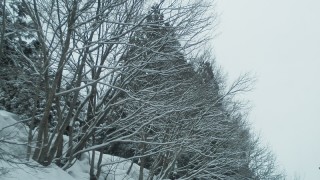 雪景色あと何回？