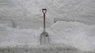 つかの間の「休日」