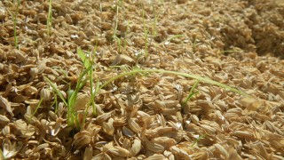 立冬‥‥一気に冷え込み