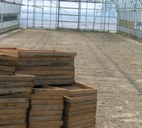 種蒔き前の静かなハウス