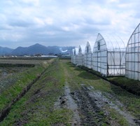 ハウス脇の通り