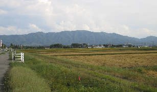 今年の新米をお届け