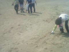 浜掃除！