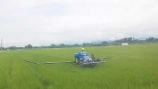 穂肥え散布！