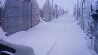 連日の大雪で…
