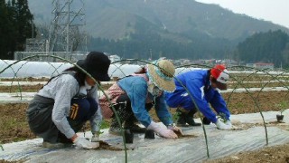 いよいよ来ました